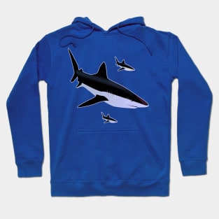 Shark Swarm Hoodie